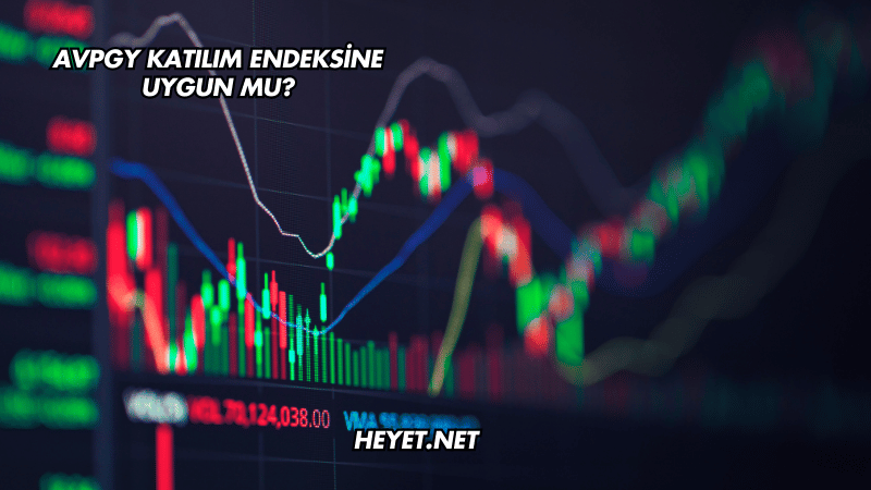 AVPGY Katılım Endeksine Uygun mu?