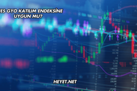 Ahes GYO Katılım Endeksine Uygun mu?