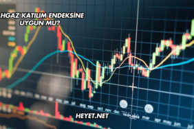 Ahgaz Katılım Endeksine Uygun mu?