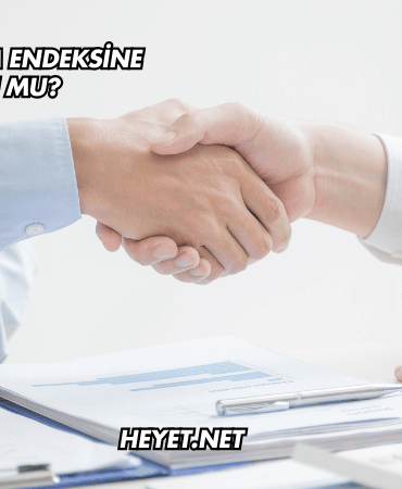 Alfas Katılım Endeksine Uygun mu?