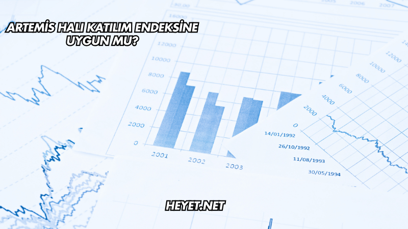 Artemis Halı Katılım Endeksine Uygun mu?