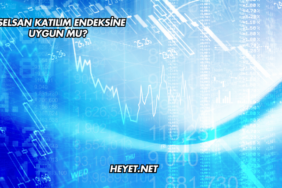 Aselsan Katılım Endeksine Uygun mu?