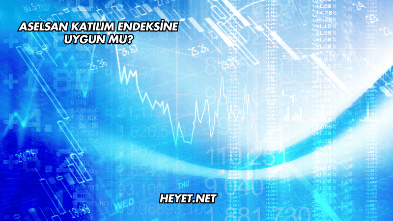 Aselsan Katılım Endeksine Uygun mu?