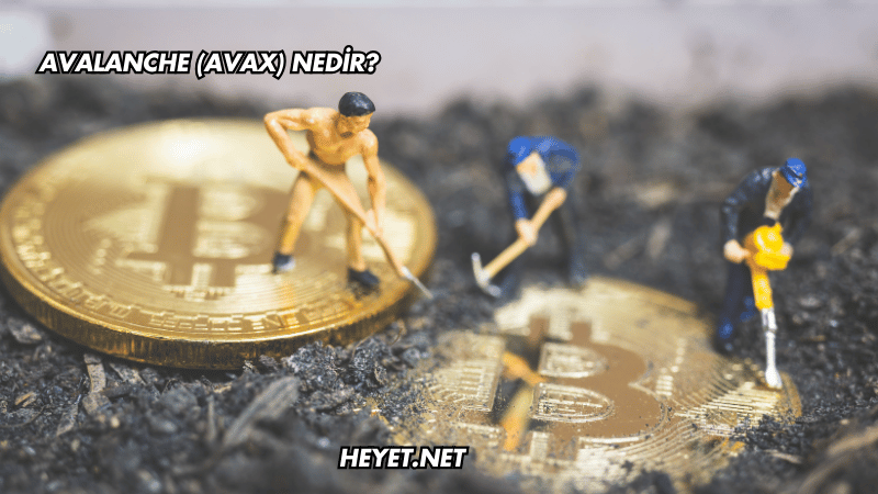 Avalanche (AVAX) Nedir?