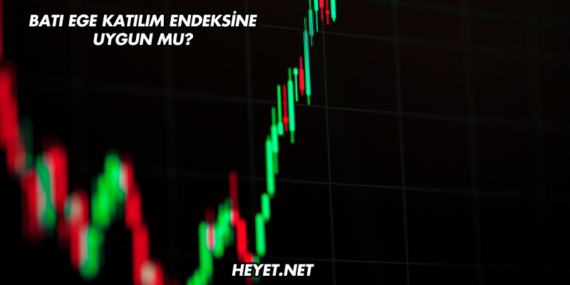 Batı Ege Katılım Endeksine Uygun mu?