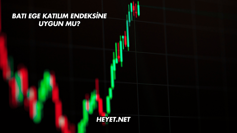 Batı Ege Katılım Endeksine Uygun mu?