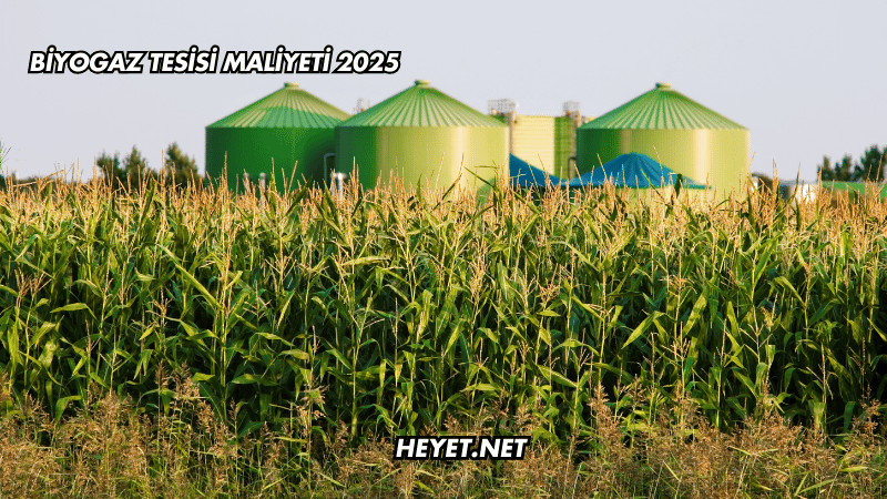 Biyogaz Tesisi Maliyeti 2025