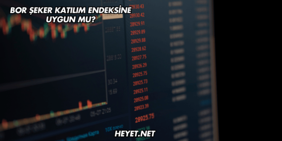 Bor Şeker Katılım Endeksine Uygun mu?
