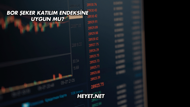 Bor Şeker Katılım Endeksine Uygun mu?