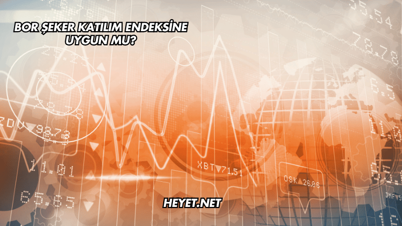 Bor Şeker Katılım Endeksine Uygun mu?