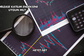 Borlease Katılım Endeksine Uygun mu?