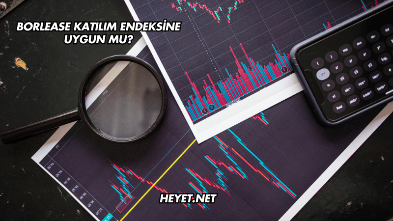Borlease Katılım Endeksine Uygun mu?