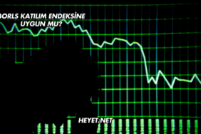 Borls Katılım Endeksine Uygun mu?