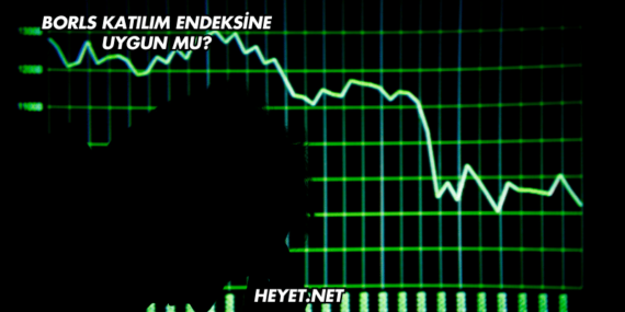 Borls Katılım Endeksine Uygun mu?