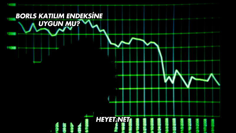 Borls Katılım Endeksine Uygun mu?