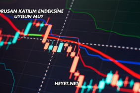Borusan Katılım Endeksine Uygun mu?