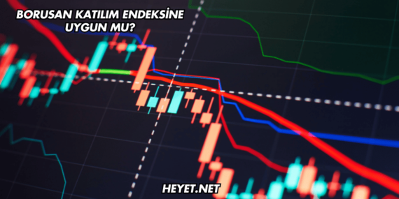 Borusan Katılım Endeksine Uygun mu?