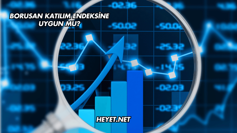 Borusan Katılım Endeksine Uygun mu?