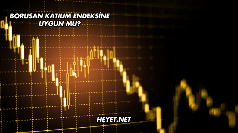 Borusan Katılım Endeksine Uygun mu?