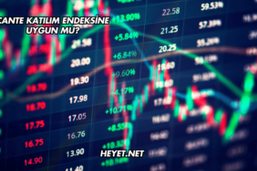 CANTE Katılım Endeksine Uygun mu?