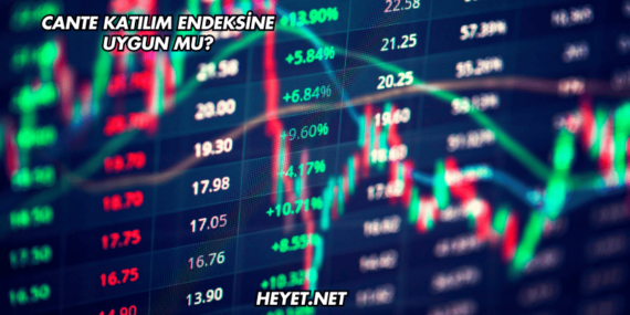 CANTE Katılım Endeksine Uygun mu?