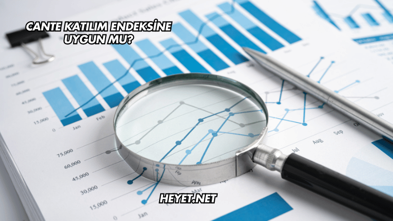 CANTE Katılım Endeksine Uygun mu?