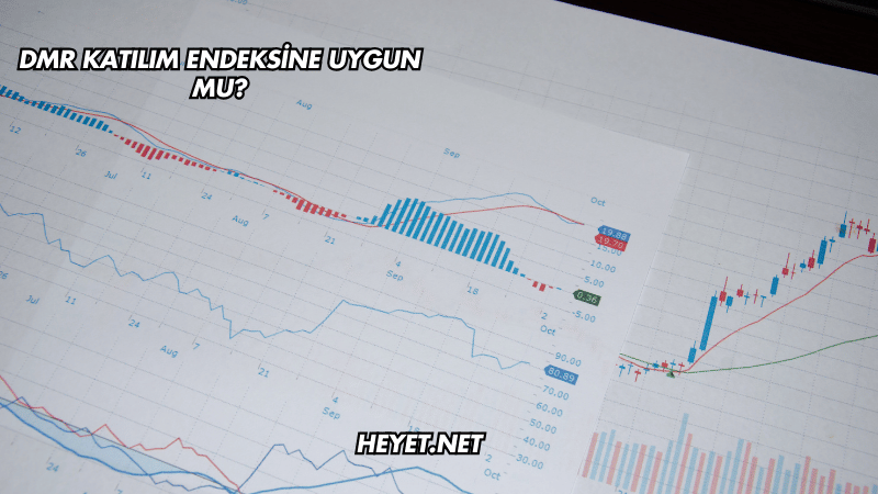 DMR Katılım Endeksine Uygun mu?