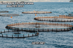 Denizde Balık Çiftliği Kurma Maliyeti 2025