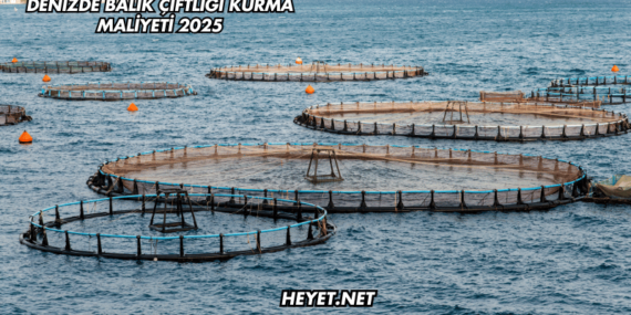 Denizde Balık Çiftliği Kurma Maliyeti 2025