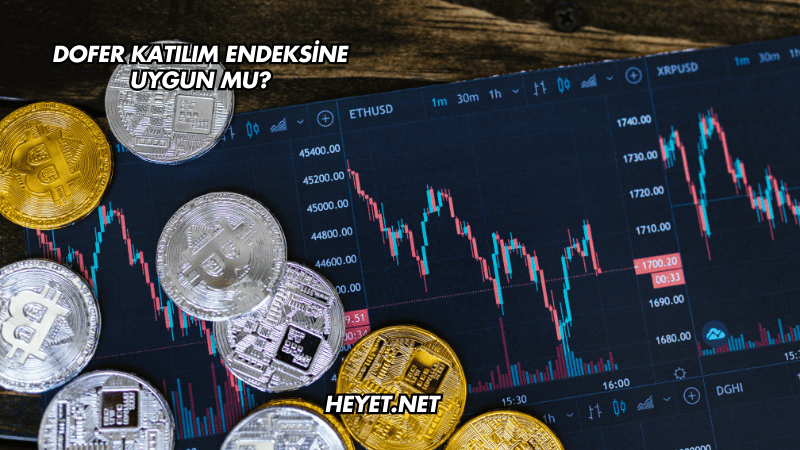 Dofer Katılım Endeksine Uygun mu?