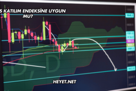 Ekos Katılım Endeksine Uygun mu?