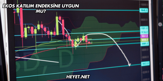 Ekos Katılım Endeksine Uygun mu?