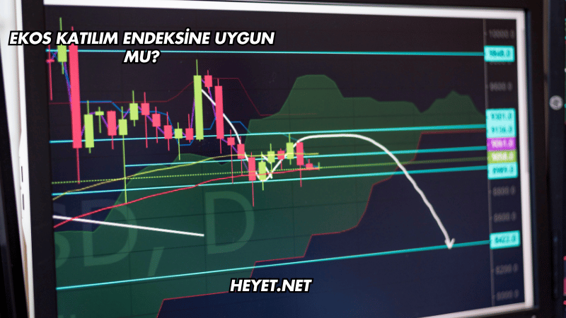 Ekos Katılım Endeksine Uygun mu?