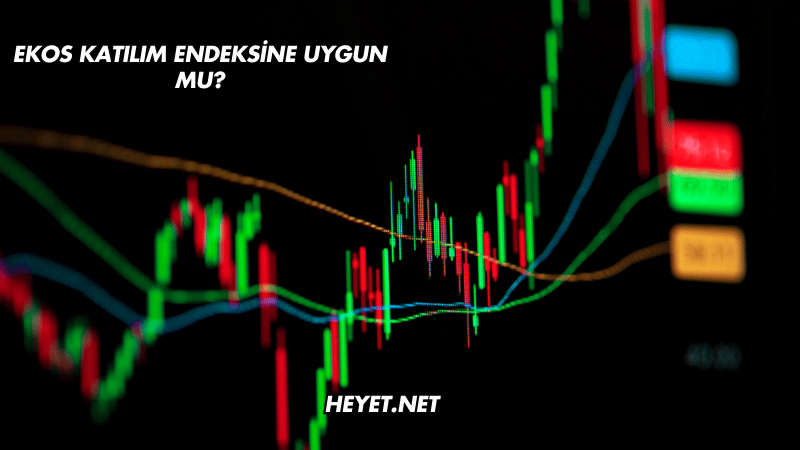 Ekos Katılım Endeksine Uygun mu?