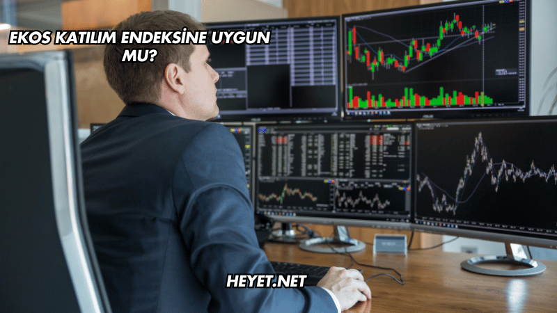 Ekos Katılım Endeksine Uygun mu?