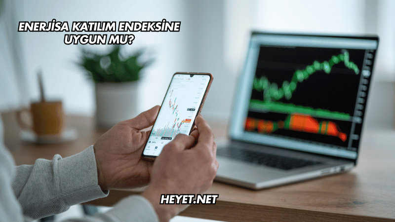 Enerjisa Katılım Endeksine Uygun mu?