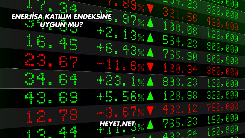 Enerjisa Katılım Endeksine Uygun mu?