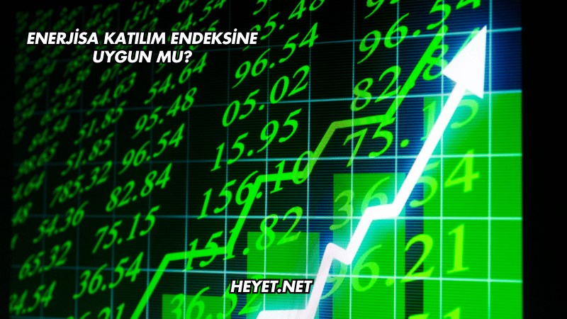 Enerjisa Katılım Endeksine Uygun mu?