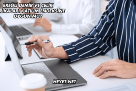 Ereğli Demir ve Çelik Fabrikaları Katılım Endeksine Uygun mu?