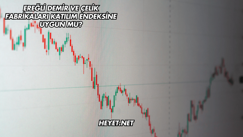 Ereğli Demir ve Çelik Fabrikaları Katılım Endeksine Uygun mu?