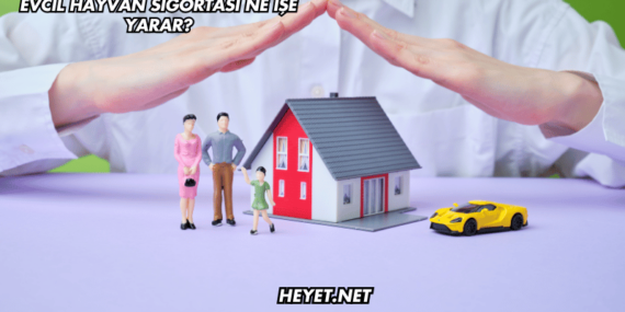 Evcil Hayvan Sigortası Ne İşe Yarar?