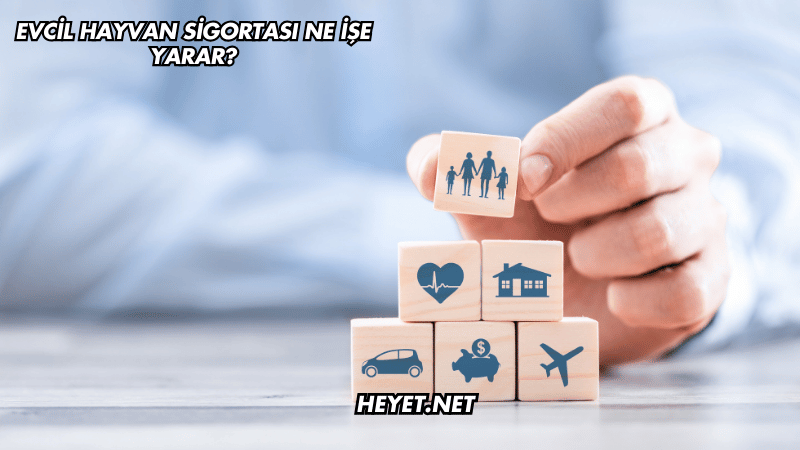 Evcil Hayvan Sigortası Ne İşe Yarar?