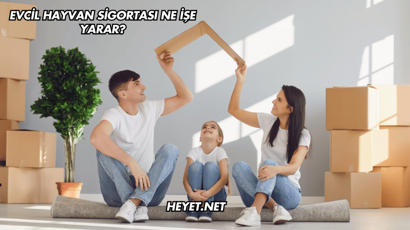 Evcil Hayvan Sigortası Ne İşe Yarar?