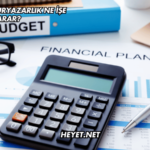 Finansal Okuryazarlık Ne İşe Yarar?