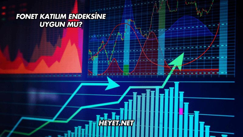 Fonet Katılım Endeksine Uygun mu?
