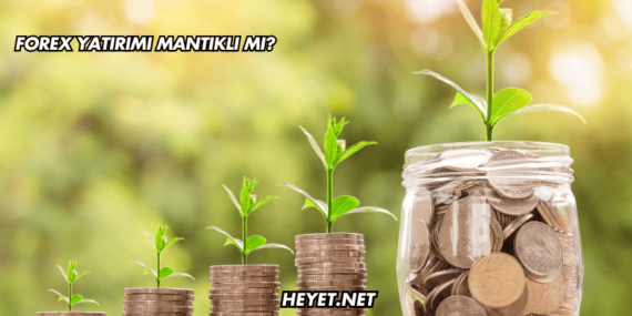 Forex Yatırımı Mantıklı mı?