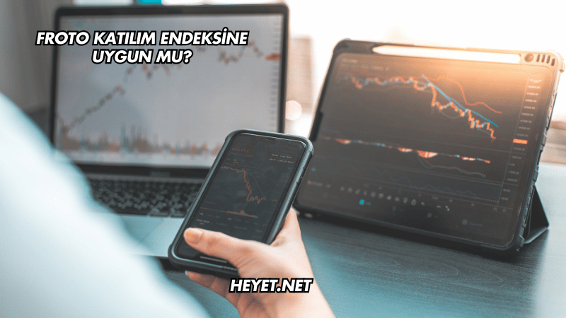 Froto Katılım Endeksine Uygun mu?