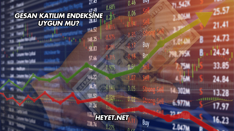 GESAN Katılım Endeksine Uygun mu?