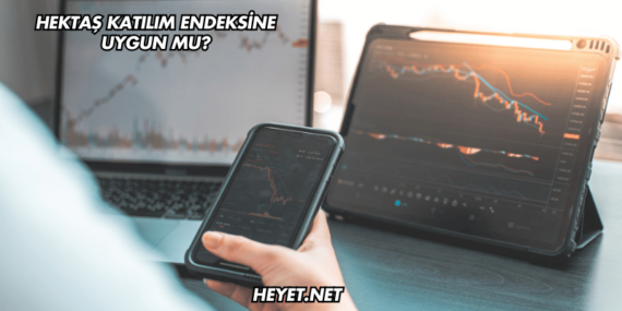 Hektaş Katılım Endeksine Uygun mu?
