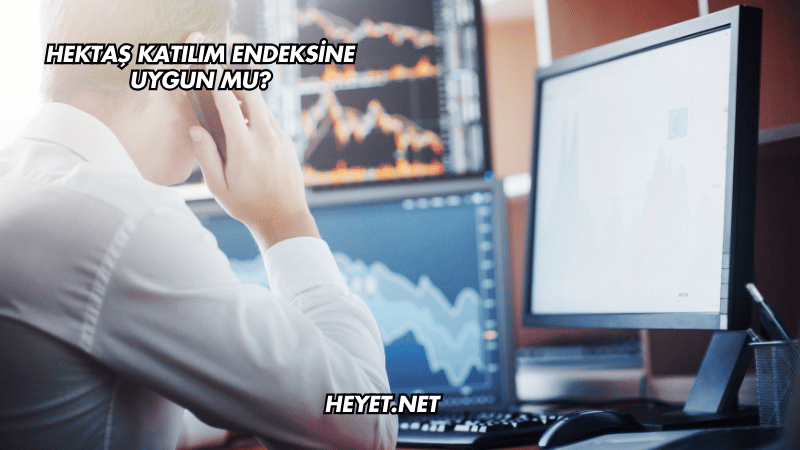 Hektaş Katılım Endeksine Uygun mu?